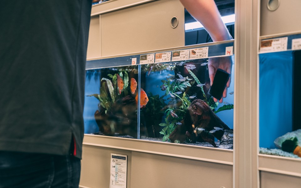Student retail werkt aan schoonmaak aquarium