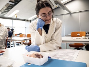 Vavo student leest lesmateriaal