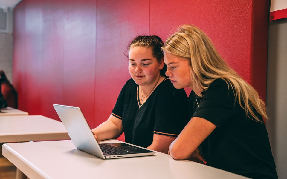 Studenten Office Assistant werken samen achter laptop